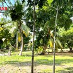 listing image thumbnail with ID 84735