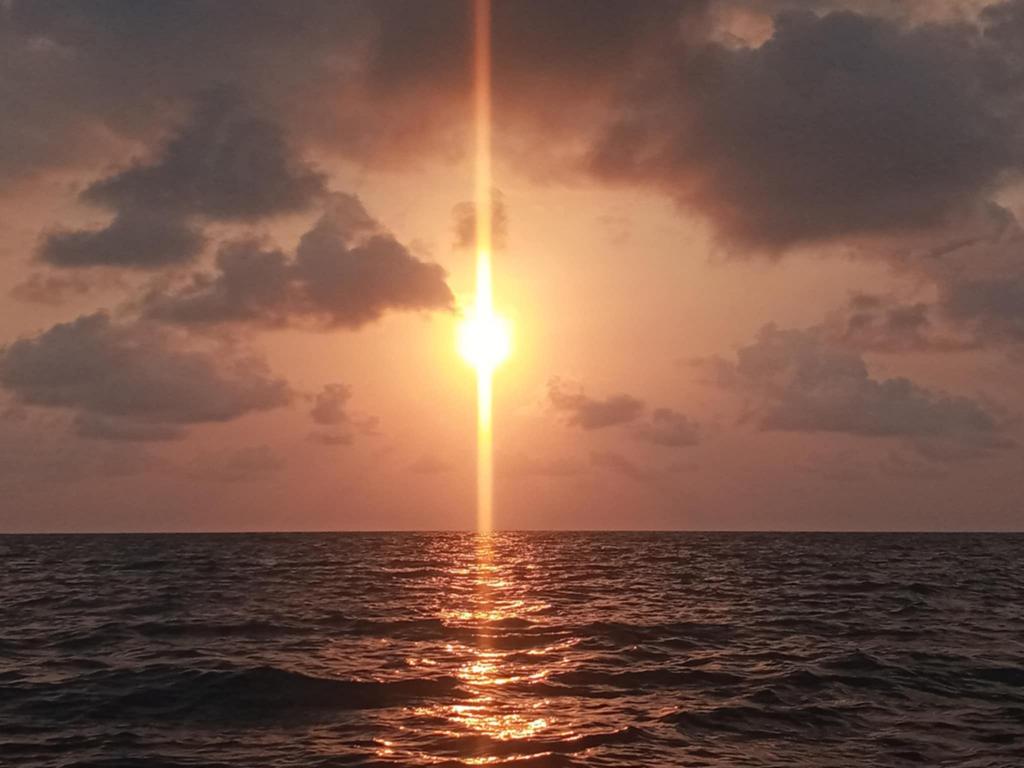 listing image with ID 76684