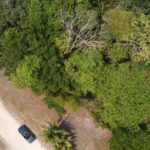 listing image thumbnail with ID 88509