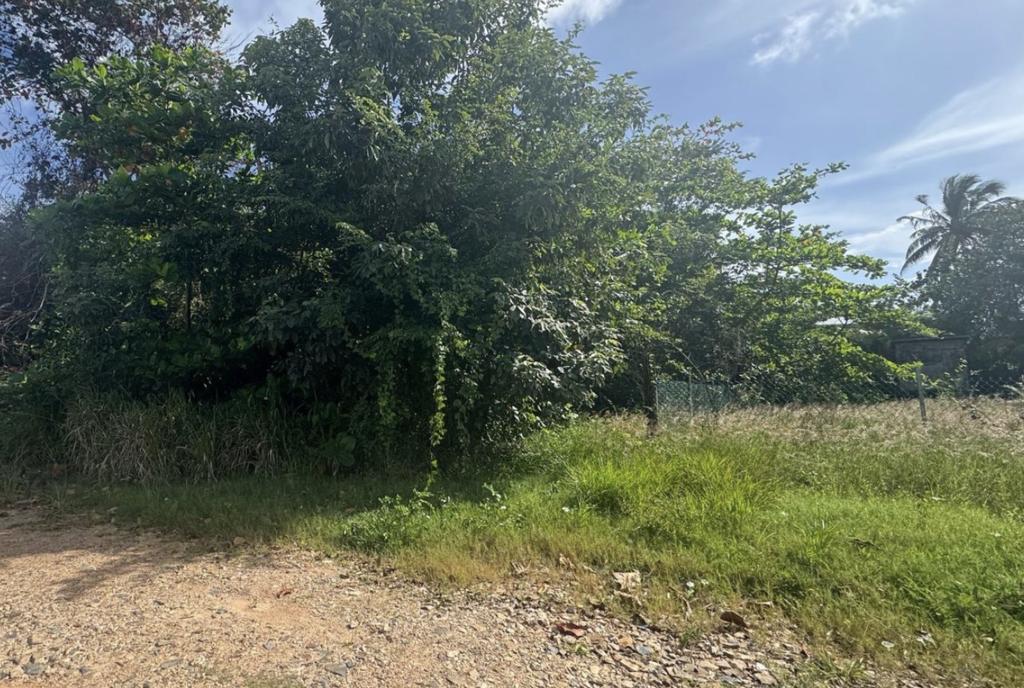 listing image with ID 77800