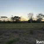 listing image thumbnail with ID 103267