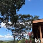 listing image thumbnail with ID 84433