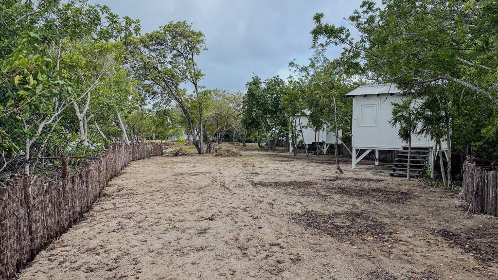 listing image with ID 84102