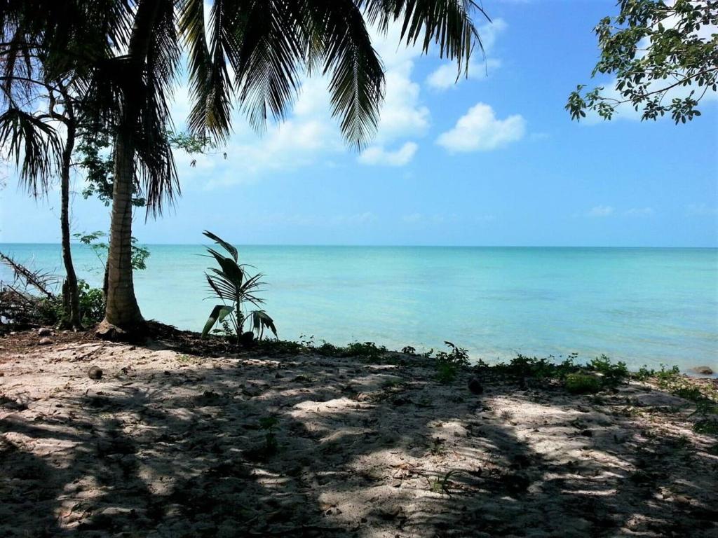 listing image with ID 77954