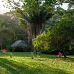 listing image thumbnail with ID 108538