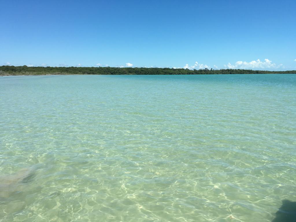 listing image with ID 78249