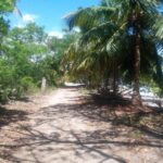 listing image thumbnail with ID 94603
