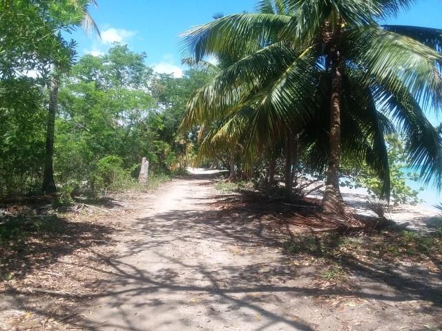 listing image with ID 94603
