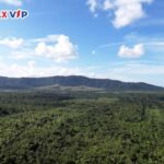 listing image thumbnail with ID 104256