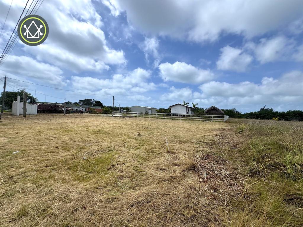 listing image with ID 87462