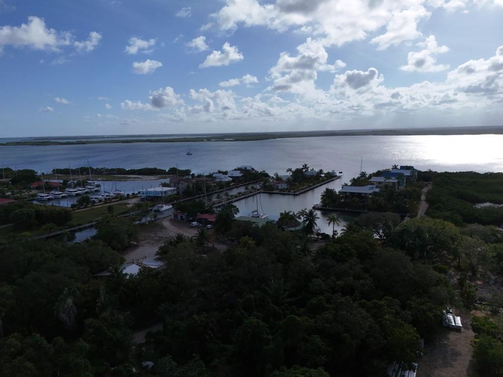 listing image with ID 96279