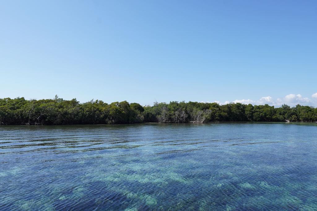 listing image with ID 87090