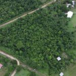 listing image thumbnail with ID 100634