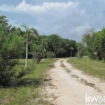 listing image thumbnail with ID 75663