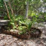 listing image thumbnail with ID 101616