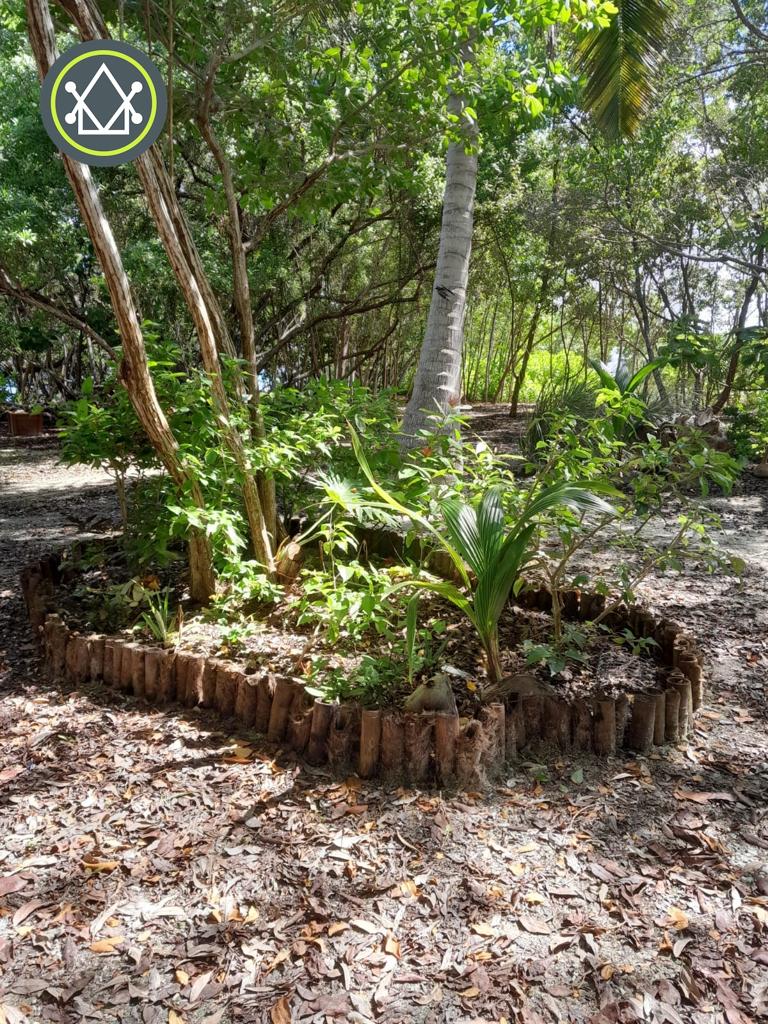 listing image with ID 101616