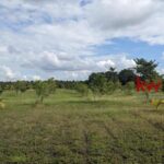 listing image thumbnail with ID 88378