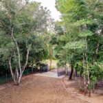 listing image thumbnail with ID 91931