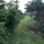 listing image thumbnail with ID 108064