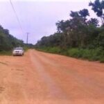 listing image thumbnail with ID 77951