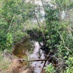 listing image thumbnail with ID 100770