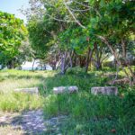 listing image thumbnail with ID 93573