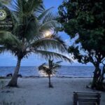 listing image thumbnail with ID 102495