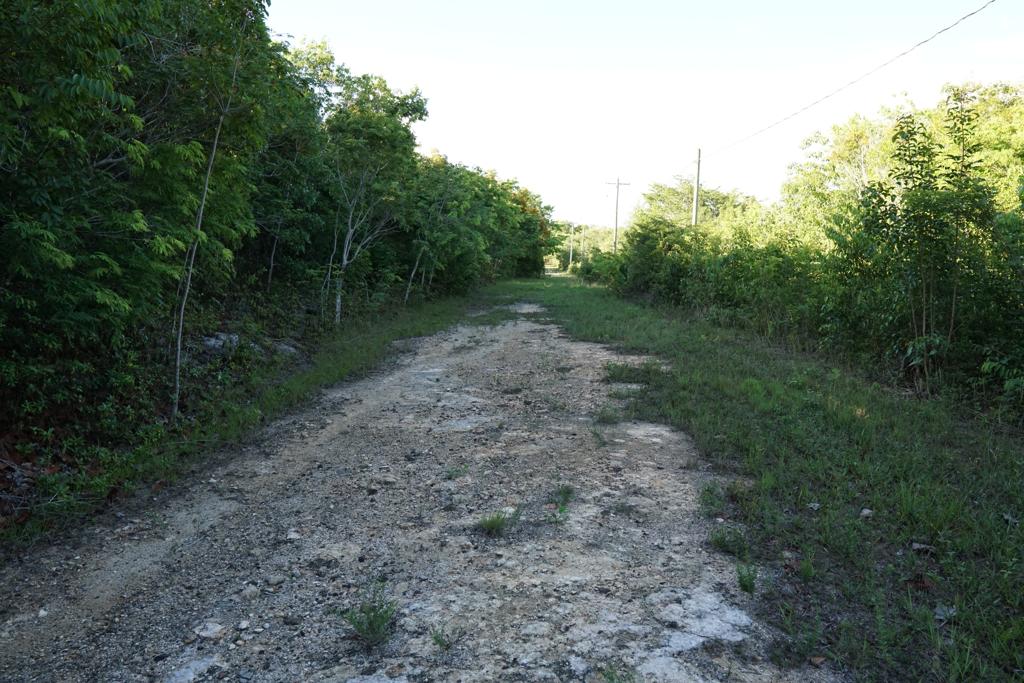 listing image with ID 95804