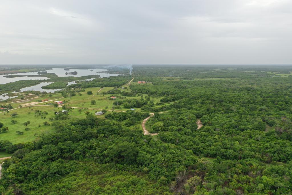 listing image with ID 88932