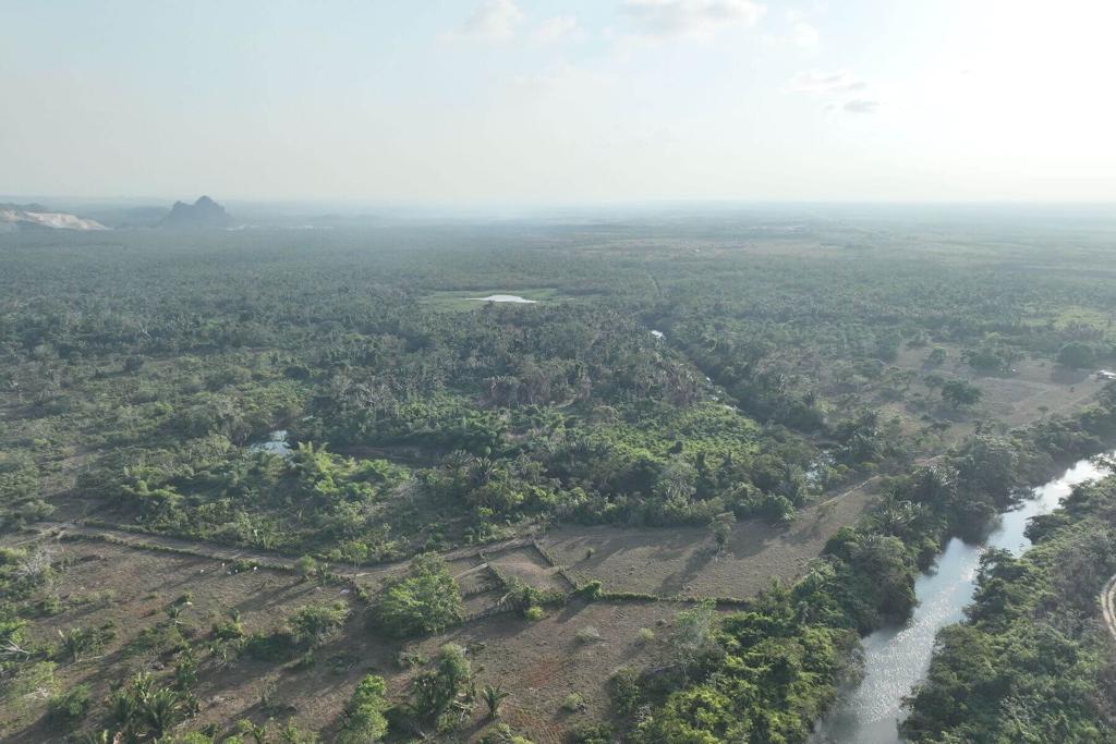 listing image with ID 103922