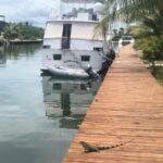 listing image thumbnail with ID 100567
