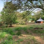 listing image thumbnail with ID 90686