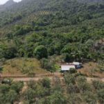 listing image thumbnail with ID 101907