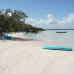 listing image thumbnail with ID 98631