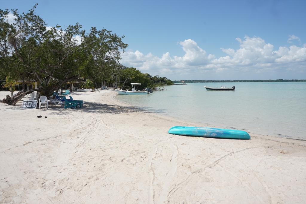 listing image with ID 98631