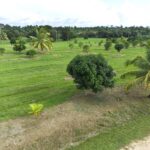 listing image thumbnail with ID 75804