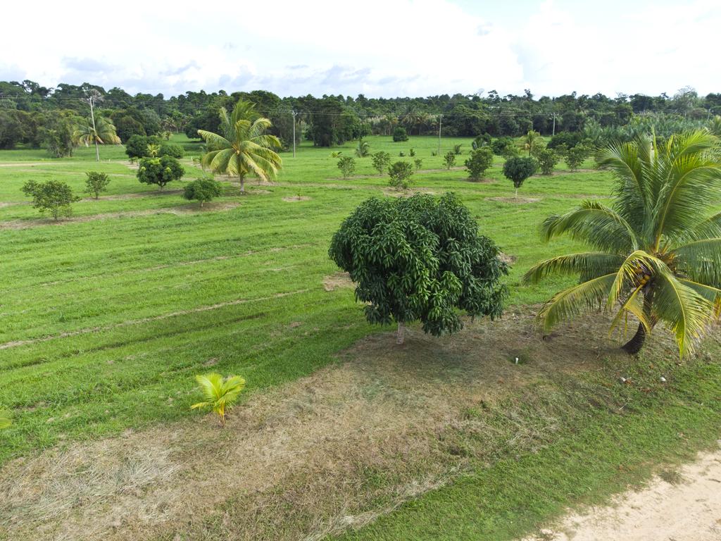 listing image with ID 75804