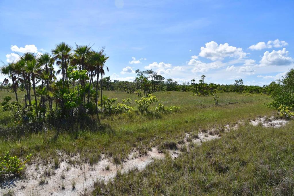 listing image with ID 108601