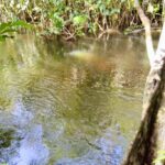 listing image thumbnail with ID 85283