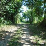 listing image thumbnail with ID 78547