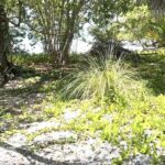 listing image thumbnail with ID 101599