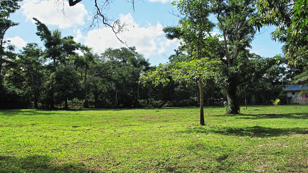 listing image with ID 99111