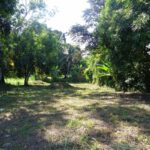 listing image thumbnail with ID 81701