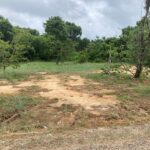 listing image thumbnail with ID 103183
