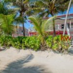 listing image thumbnail with ID 77299