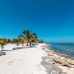 listing image thumbnail with ID 89562