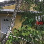 listing image thumbnail with ID 103570