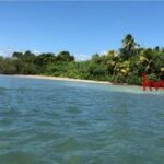 listing image thumbnail with ID 80297
