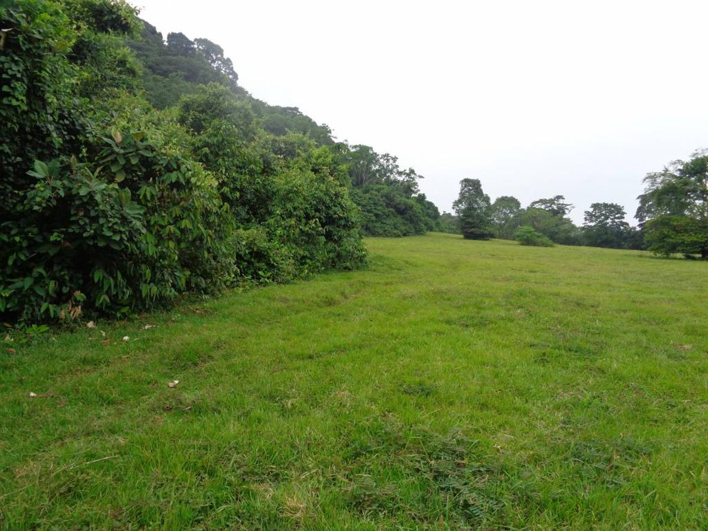 listing image with ID 104436