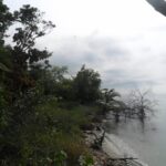 listing image thumbnail with ID 82841